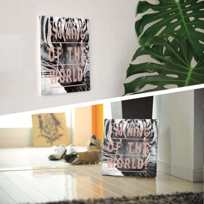 トラ タイポグラフィ popa-1705-04 Mサイズ 30cm×30cm アートパネル ファブリックパネル アートボード 壁掛け 日本製 ラッピング付き 店舗 カフェ ラウンジ ロビー ホテル 法人 lib-popa-1705-04-mの画像