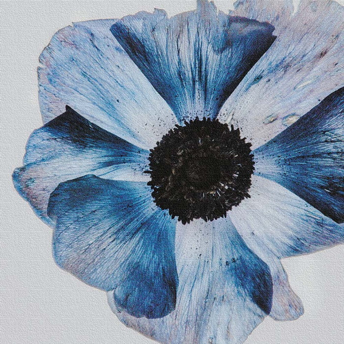 花 popa-1805-02 Lサイズ 57cm×57cm アートパネル ファブリックパネル アートボード 壁掛け 日本製 ラッピング付き 店舗 カフェ ラウンジ ロビー ホテル 法人 lib-popa-1805-02-lの画像