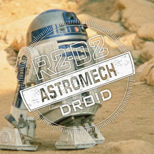 スターウォーズ R2-D2 STAR WARS アートパネル ファブリックパネル アートボード インテリアパネル 壁掛け 日本製 ラッピング付き lib-stw-0034