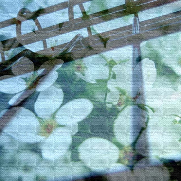 花 合成アート FLOWER Mサイズ 30cm×30cm アートパネル ファブリックパネル アートボード 壁掛け 日本製 ラッピング付き 店舗 カフェ ラウンジ ロビー ホテル 法人 lib-tnk-0007-mの画像