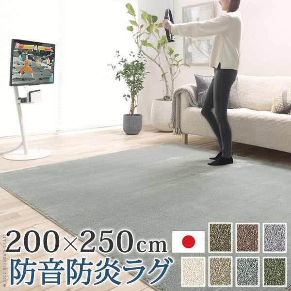 ラグ ラグカーペット 長方形 防音防炎ラグ エイヴァ 200x250cm リビング 高級感 おしゃれ 北欧 シンプル 無地調 極細 ホットカーペット対応 オールシーズン 防音 防ダニ 防炎 すべり止め 日本製 カットオーダー 在宅 mu-33101388の画像