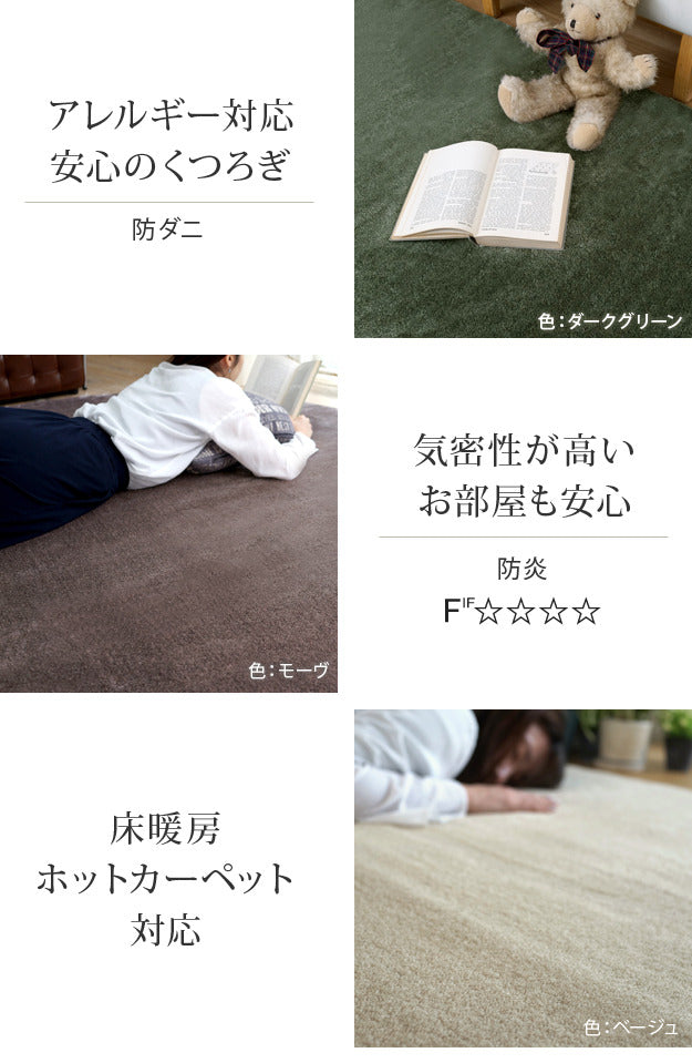 ラグ ラグカーペット 長方形 防音防炎ラグ エイヴァ 200x250cm リビング 高級感 おしゃれ 北欧 シンプル 無地調 極細 ホットカーペット対応 オールシーズン 防音 防ダニ 防炎 すべり止め 日本製 カットオーダー 在宅 mu-33101388の画像