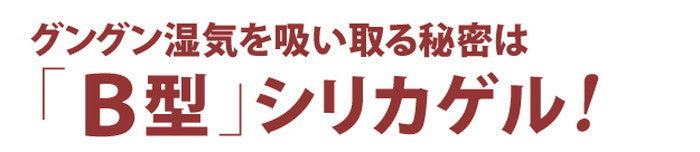 除湿シート 除湿マット 洗える 湿度調整マット 〔調湿くん〕 クローゼットタイプ 5枚セット ハンガー対応 湿気取り 防ダニ 防カビ シリカゲル 梅雨対策 梅雨対策 梅雨対策 梅雨対策 mu-71200007