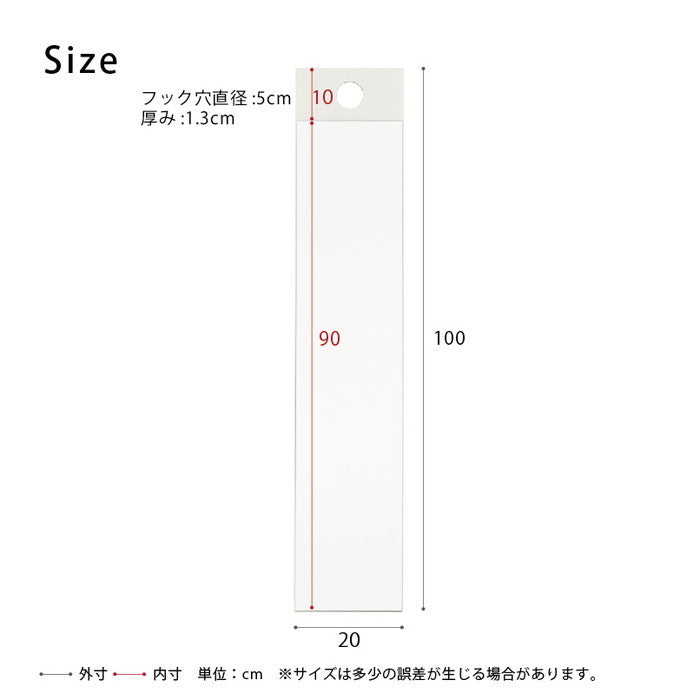 省スペースなフックミラー 100 スリムでコンパクト 日本製ミラー 収納 国産 ウォールミラー 壁掛け nag-nk-1000