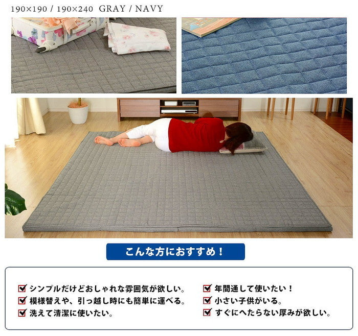 和楽のZONIA ラグマット L 190×240cm a827 sg-10314の画像