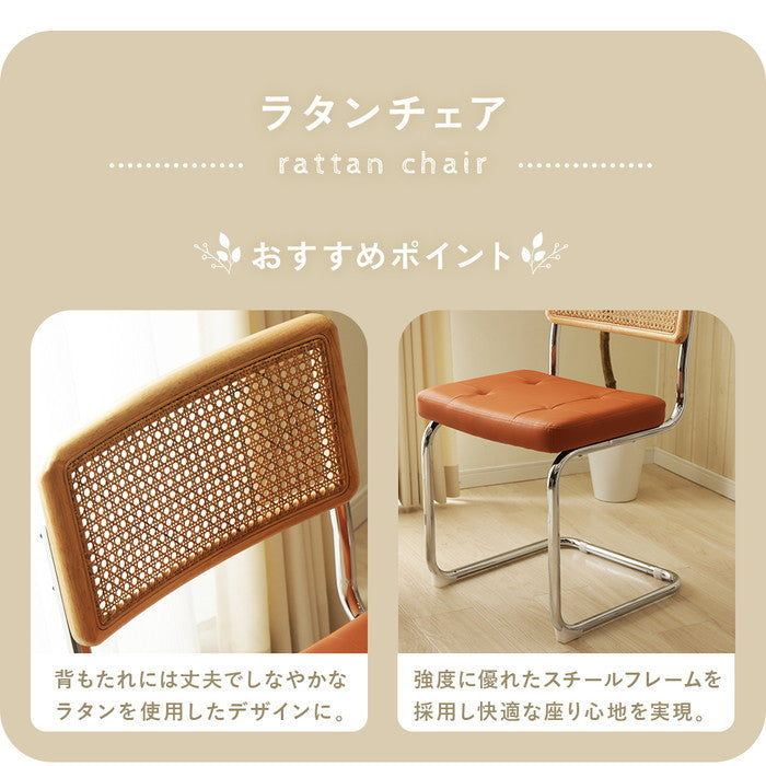 ラタン調ダイニング チェア NP-QZYN2228S ダイニング チェア sg-10569の画像