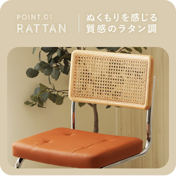 ラタン調ダイニング チェア NP-QZYN2228S ダイニング チェア sg-10569の画像