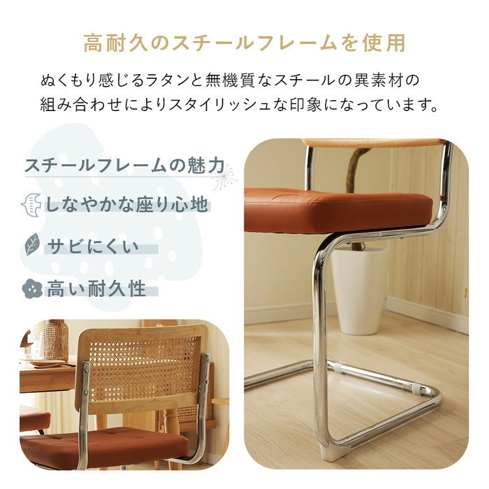 ラタン調ダイニング チェア NP-QZYN2228S ダイニング チェア sg-10569の画像