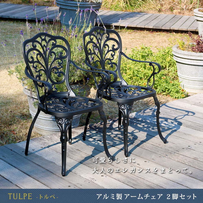 アルミ製アームチェア2脚セット トルペ BKS-C5289-2P チェア 椅子 スツール ファニチャー アルミ ガーデン 屋外 庭 ベランダ アウトドア 黒 ブラック smi-bks-c5289-2pの画像