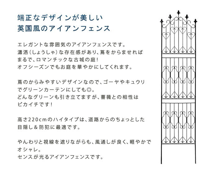 アイアンフェンス220 ハイタイプ 2枚組 フェンス アイアン ガーデンフェンス ガーデニング 枠 柵 仕切り 目隠し 境目 クラシカル アンティーク トレリス ベランダ つる 薔薇 バラ 朝顔 園芸 ラティス つるバラ 庭誘引 屋外 smi-df010h-2pの画像