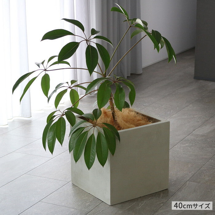 GRITTE グリッテ 石調FRPプランター 幅40・50 角型 大小2個セット E001-CU4050S 植木鉢 プランター セメント コンクリート 軽量 大型 9L 75L カバー 庭 ガーデン インテリア 室内 店舗 おしゃれ smi-e001-cu4050sの画像
