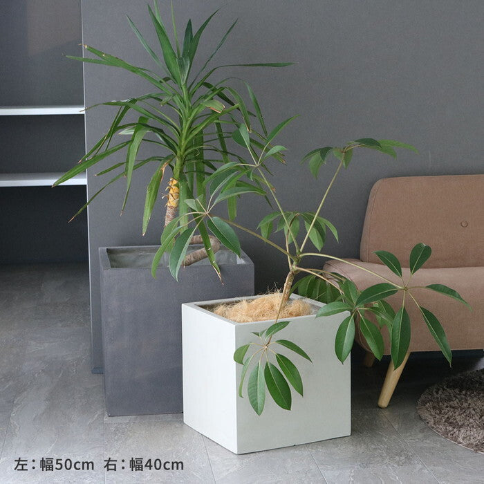 GRITTE グリッテ 石調FRPプランター 幅50 角型 E001-CU500 植木鉢 プランター セメント コンクリート 軽量 大型 75L カバー 庭 ガーデン インテリア 室内 店舗 おしゃれ smi-e001-cu500の画像