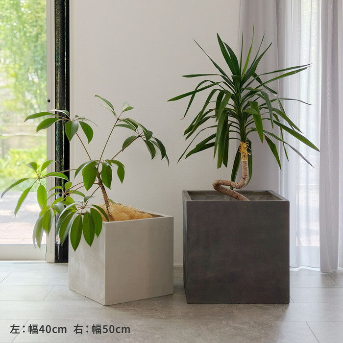 GRITTE グリッテ 石調FRPプランター 幅50 角型 E001-CU500 植木鉢 プランター セメント コンクリート 軽量 大型 75L カバー 庭 ガーデン インテリア 室内 店舗 おしゃれ smi-e001-cu500の画像