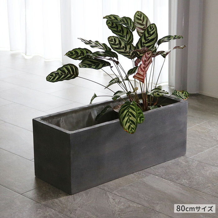GRITTE グリッテ 石調FRPプランター 幅60 長角 E001-RE600 植木鉢 プランター セメント コンクリート 軽量 大型 16L カバー 庭 ガーデン インテリア 室内 店舗 おしゃれ smi-e001-re600の画像