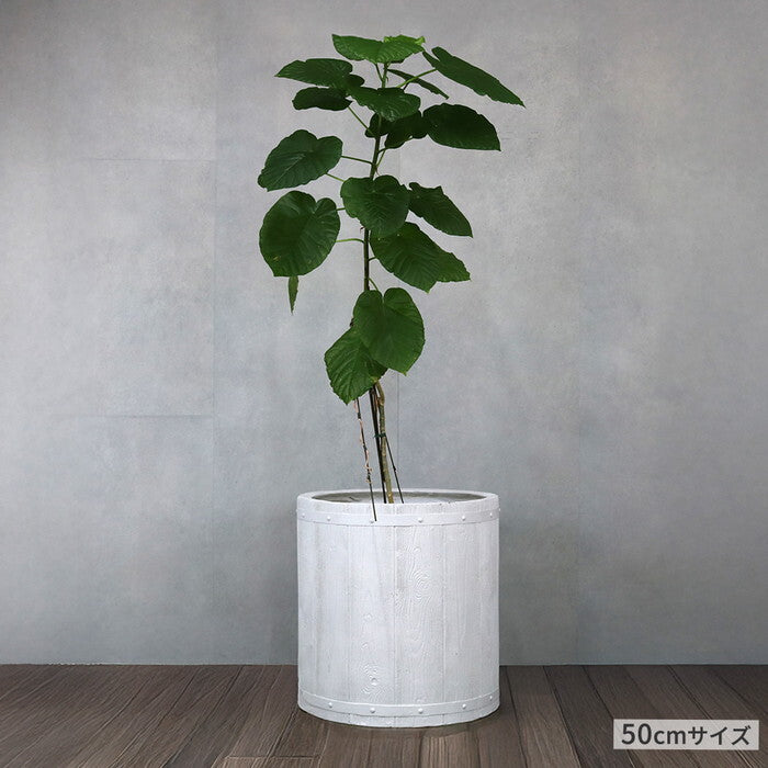 FARBOR ファーバー 木調FRPプランター 幅50 丸型 E002-EN500 直径48 高さ50 植木鉢 プランター 木製 ウッド 軽量 大型 51L カバー 庭 ガーデン インテリア 室内 店舗 おしゃれ smi-e002-en500の画像