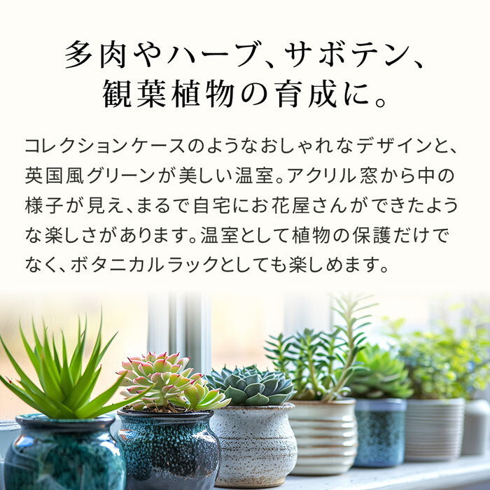 木製窓付グリーンハウス 温室 OWN オウン GRH45DGR 温室 木製 ウッド 簡易 観葉植物 多肉植物 ガーデン 園芸 おしゃれ 飼育 ケース 保温 smi-grh45の画像