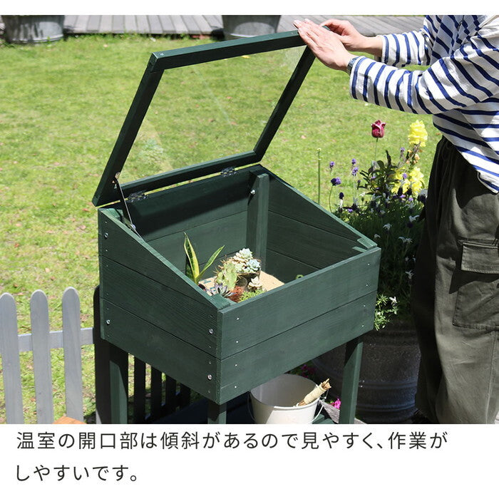 木製窓付グリーンハウス 温室 OWN オウン GRH45DGR 温室 木製 ウッド 簡易 観葉植物 多肉植物 ガーデン 園芸 おしゃれ 飼育 ケース 保温 smi-grh45の画像