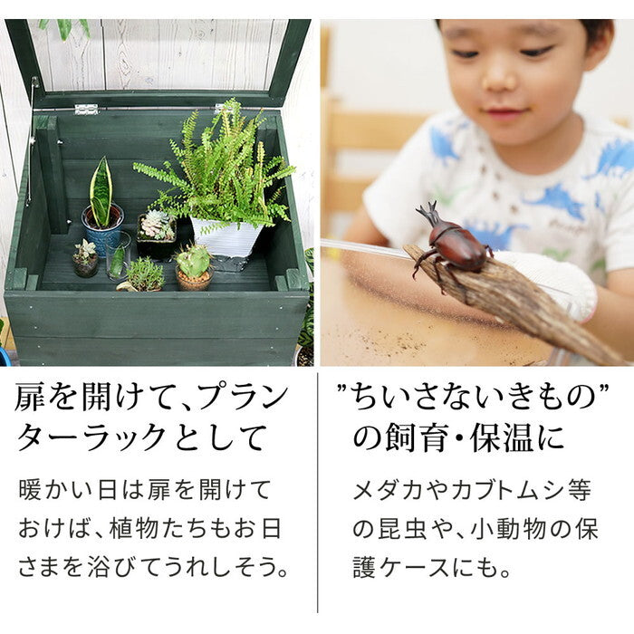 木製窓付グリーンハウス 温室 OWN オウン GRH45DGR 温室 木製 ウッド 簡易 観葉植物 多肉植物 ガーデン 園芸 おしゃれ 飼育 ケース 保温 smi-grh45の画像
