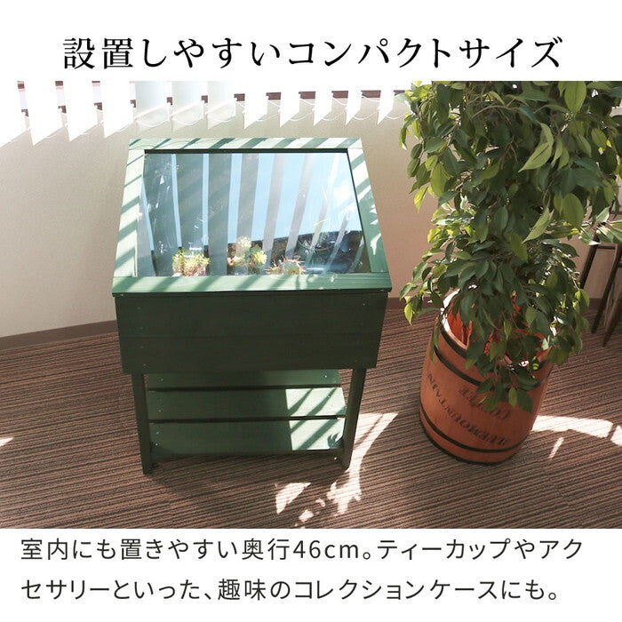 木製窓付グリーンハウス 温室 OWN オウン GRH45DGR 温室 木製 ウッド 簡易 観葉植物 多肉植物 ガーデン 園芸 おしゃれ 飼育 ケース 保温 smi-grh45の画像