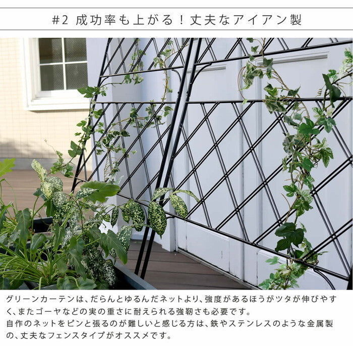 アイアン製グリーンカーテン アーガイル フェンス アイアン グリーンフェンス ゴーヤ 薔薇 バラ 朝顔 庭 ベランダ ガーデニング 枠 柵 仕切り 目隠し 境目 アンティーク トレリス 園芸 ラティス 屋外 smi-if-gc011blkの画像