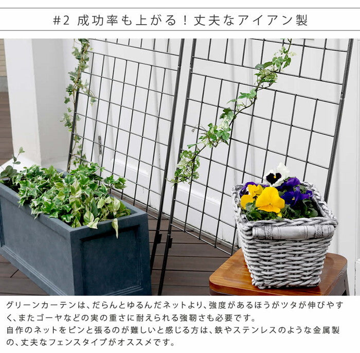 アイアン製グリーンカーテン グラフ フェンス アイアン グリーンカーテン ゴーヤ 薔薇 バラ 朝顔 庭 ベランダ ガーデニング 枠 柵 仕切り 目隠し 境目 アンティーク トレリス 園芸 ラティス 屋外 smi-if-gc014slvの画像