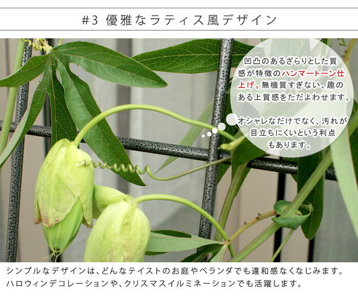 アイアン製グリーンカーテン グラフ フェンス アイアン グリーンカーテン ゴーヤ 薔薇 バラ 朝顔 庭 ベランダ ガーデニング 枠 柵 仕切り 目隠し 境目 アンティーク トレリス 園芸 ラティス 屋外 smi-if-gc014slvの画像
