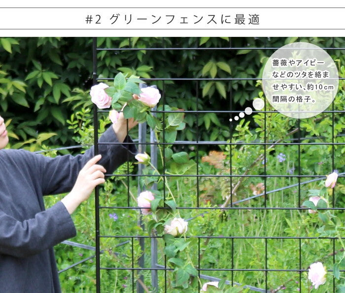 アイアンフェンス 高さ126 グラフ 2枚組 フェンス アイアン ガーデンフェンス ガーデニング 枠 柵 仕切り 目隠し 境目 クラシカル アンティーク 格子 ベランダ つる 薔薇 バラ 朝顔 園芸 ラティス つるバラ 庭誘引 屋外 smi-if-gr022-2pの画像