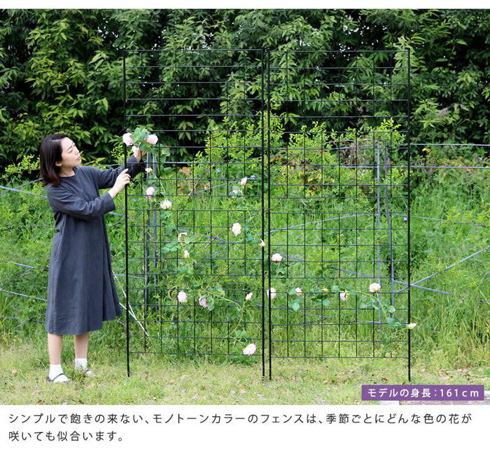 アイアンフェンス 高さ226 グラフ 2枚組 フェンス アイアン ガーデンフェンス ガーデニング 枠 柵 仕切り 目隠し 境目 クラシカル アンティーク 格子 ベランダ つる 薔薇 バラ 朝顔 園芸 ラティス つるバラ 庭誘引 屋外 smi-if-gr024-2pの画像