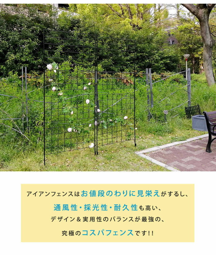アイアンフェンス 高さ226 グラフ 2枚組 フェンス アイアン ガーデンフェンス ガーデニング 枠 柵 仕切り 目隠し 境目 クラシカル アンティーク 格子 ベランダ つる 薔薇 バラ 朝顔 園芸 ラティス つるバラ 庭誘引 屋外 smi-if-gr024-2pの画像