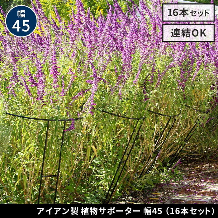 アイアン製植物サポーター 幅45 16本セット IF-N0047-16P 奥行23 高さ85 ハーフリング 倒れ防止 広がり抑制 スチール 鉄製 支柱 園芸 植物サポート フラワーサポート 菜園 花壇 smi-if-n0047-16pの画像