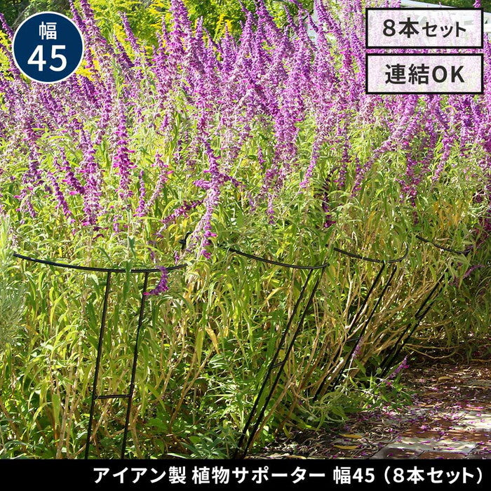 アイアン製植物サポーター 幅45 8本セット IF-N0047-8P 奥行23 高さ85 ハーフリング 倒れ防止 広がり抑制 スチール 鉄製 支柱 園芸 植物サポート フラワーサポート 菜園 花壇 smi-if-n0047-8pの画像