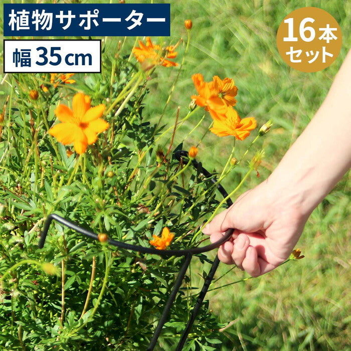 アイアン製植物サポーター 幅35 16本セット IF-N0048-16P 奥行18 高さ65 ハーフリング 倒れ防止 広がり抑制 スチール 鉄製 支柱 園芸 植物サポート フラワーサポート 菜園 花壇 smi-if-n0048-16pの画像