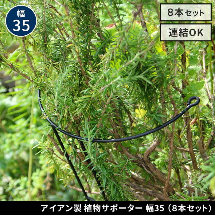 アイアン製植物サポーター 幅35 8本セット IF-N0048-8P 奥行18 高さ65 ハーフリング 倒れ防止 広がり抑制 スチール 鉄製 支柱 園芸 植物サポート フラワーサポート 菜園 花壇 smi-if-n0048-8pの画像