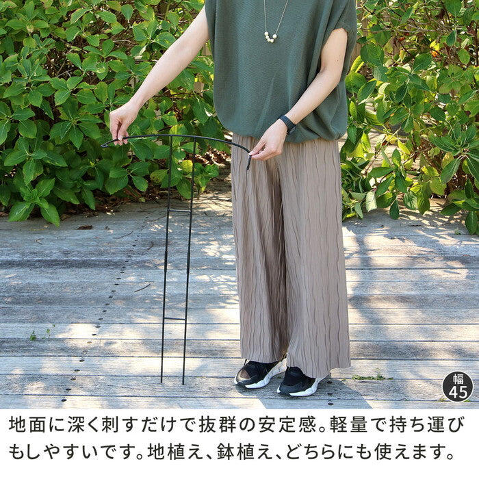 アイアン製植物サポーター 幅35 8本セット IF-N0048-8P 奥行18 高さ65 ハーフリング 倒れ防止 広がり抑制 スチール 鉄製 支柱 園芸 植物サポート フラワーサポート 菜園 花壇 smi-if-n0048-8pの画像