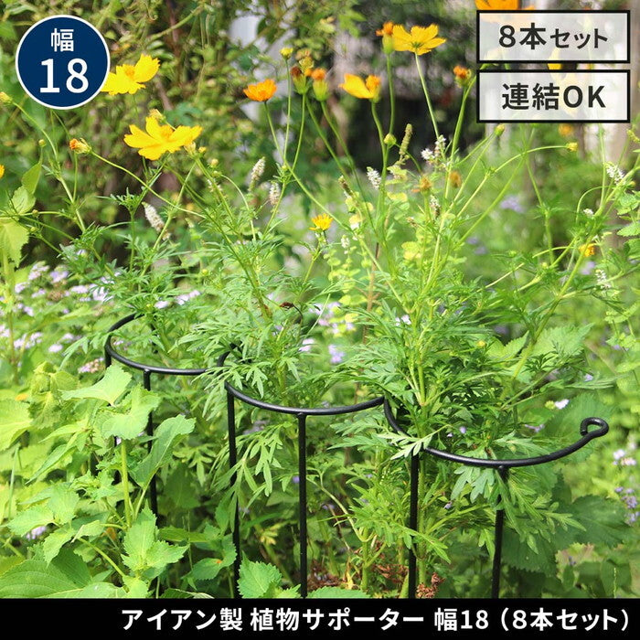 アイアン製植物サポーター 幅18 8本セット IF-N0050-8P 奥行10 高さ50 ハーフリング 倒れ防止 広がり抑制 スチール 鉄製 支柱 園芸 植物サポート フラワーサポート 菜園 花壇 smi-if-n0050-8pの画像