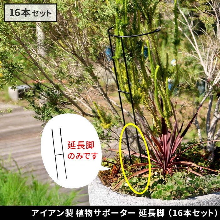 アイアン製植物サポーター 延長脚 16本セット IF-N0051-16P 脚のみ 高さ47cm ハーフリング 倒れ防止 広がり抑制 スチール 鉄製 支柱 園芸 植物サポート フラワーサポート 菜園 花壇 smi-if-n0051-16pの画像