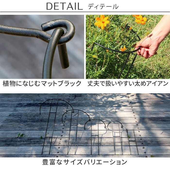 アイアン製植物サポーター 延長脚 16本セット IF-N0051-16P 脚のみ 高さ47cm ハーフリング 倒れ防止 広がり抑制 スチール 鉄製 支柱 園芸 植物サポート フラワーサポート 菜園 花壇 smi-if-n0051-16pの画像