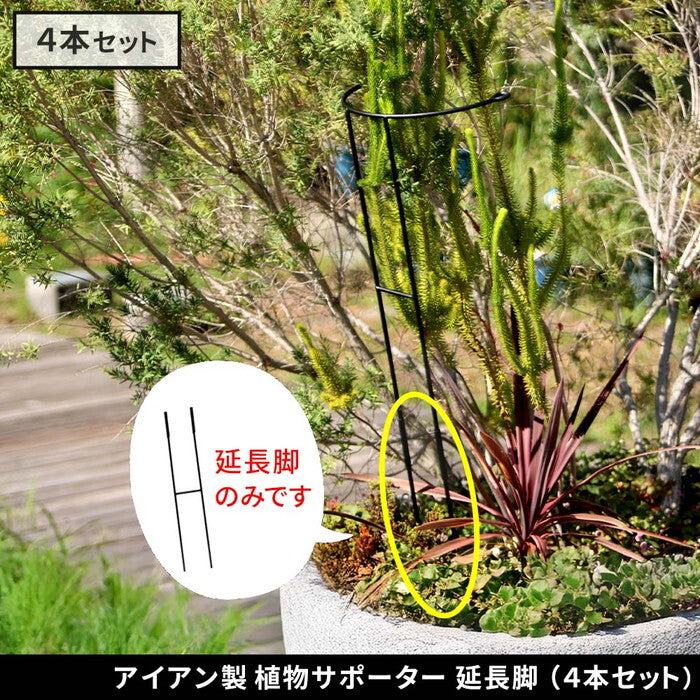 アイアン製植物サポーター 延長脚 4本セット IF-N0051-4P 脚のみ 高さ47cm ハーフリング 倒れ防止 広がり抑制 スチール 鉄製 支柱 園芸 植物サポート フラワーサポート 菜園 花壇 smi-if-n0051-4pの画像