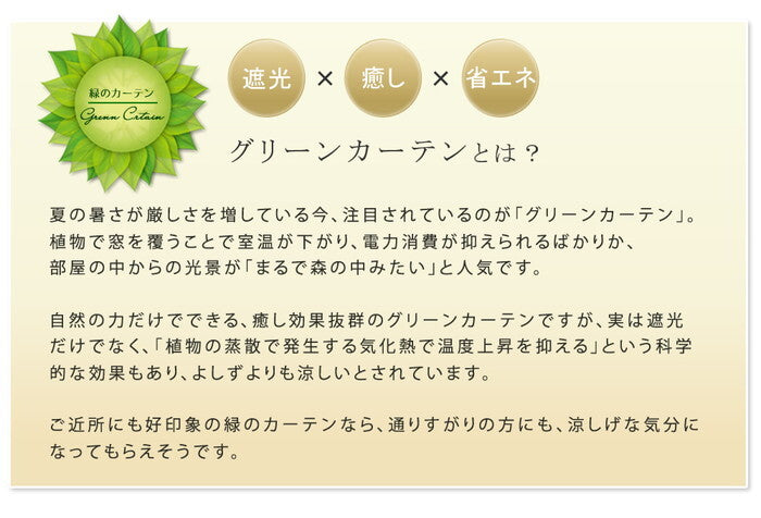 アイアン製グリーンカーテン アーガイル 2枚組 フェンス アイアン グリーンフェンス ゴーヤ 薔薇 バラ 朝顔 庭 ベランダ ガーデニング 枠 柵 仕切り 目隠し 境目 アンティーク トレリス 園芸 ラティス 屋外 smi-ifgc011-2p-blkの画像
