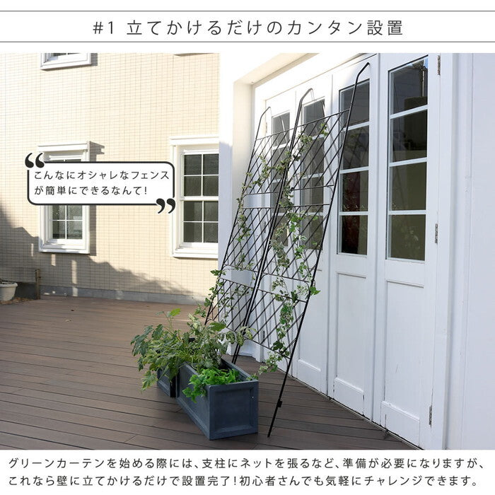 アイアン製グリーンカーテン アーガイル 2枚組 フェンス アイアン グリーンフェンス ゴーヤ 薔薇 バラ 朝顔 庭 ベランダ ガーデニング 枠 柵 仕切り 目隠し 境目 アンティーク トレリス 園芸 ラティス 屋外 smi-ifgc011-2p-blkの画像