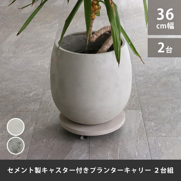 セメント製キャスター付きプランターキャリー36cm 2台組 TR360-2P 直径36 スタンド フラワースタンド ベース キャスター 台車 鉢置き 花台 プランター おしゃれ インテリア 室内 ベランダ ガーデン smi-tr360-2pの画像
