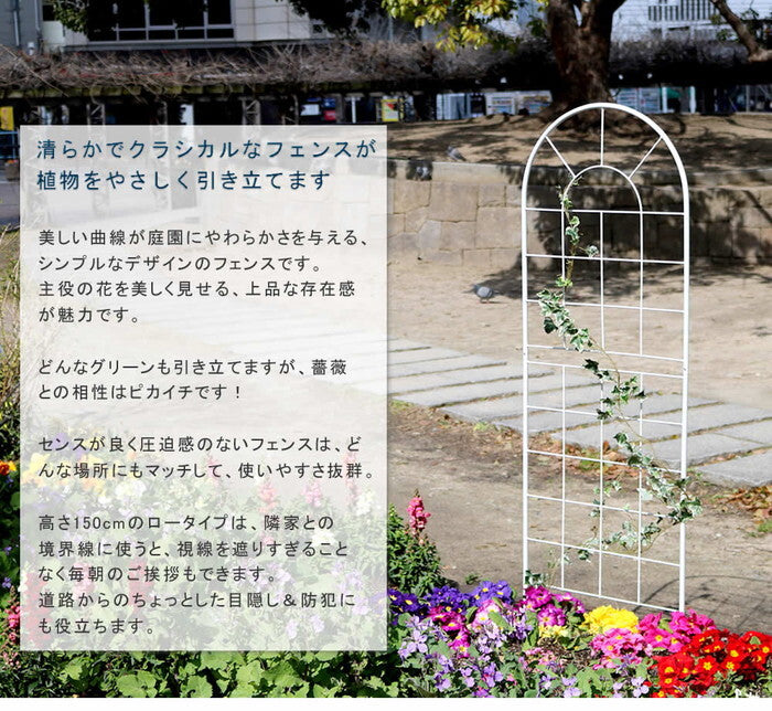 クラシックフェンス150 ロータイプ 2枚組 フェンス アイアン ガーデンフェンス ガーデニング 枠 柵 仕切り 目隠し 境目 クラシカル アンティーク トレリス ベランダ つる 薔薇 バラ 朝顔 園芸 ラティス つるバラ 庭誘引 屋外 smi-yb015l-2pの画像