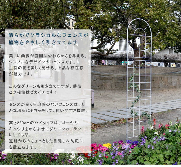 クラシックフェンス220 ハイタイプ 2枚組 フェンス アイアン ガーデンフェンス ガーデニング 枠 柵 仕切り 目隠し 境目 クラシカル アンティーク トレリス ベランダ つる 薔薇 バラ 朝顔 園芸 ラティス つるバラ 庭誘引 屋外 smi-yb016h-2pの画像