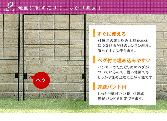 クラシックフェンス ロータイプ 2枚組 フェンス ゲート 扉 アイアン ガーデンフェンス ガーデニング 枠 柵 仕切り 目隠し 境目 クラシカル アンティーク トレリス ベランダ つる 薔薇 バラ 朝顔 園芸 ラティス smi-ybif-120-2pの画像