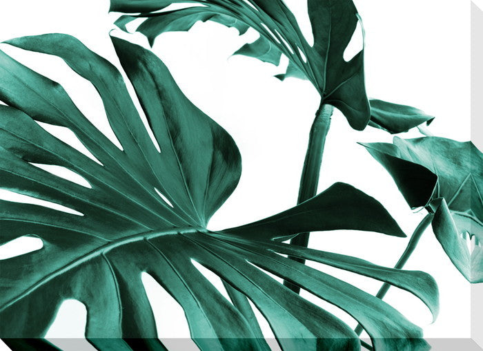 アート パネル モンステラ Art Panel Monstera 280x390x40 snw-iap-53473の画像