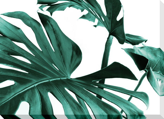 アート パネル モンステラ Art Panel Monstera 280x390x40 snw-iap-53473の画像