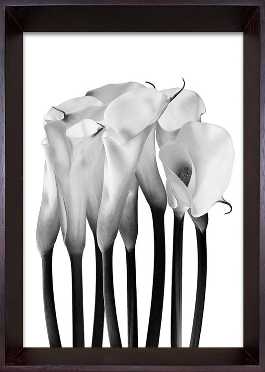 フォトグラフィ アート カラー Photography art Calla 230x320x35 snw-ibc-53408の画像
