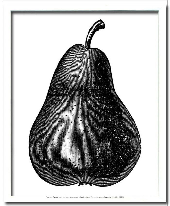 ペア 梨 ブラック Pear black 430x530x30 snw-ipf-52888の画像