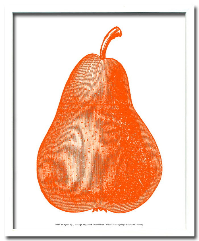 ペア 梨 オレンジ Pear orange 430x530x30 snw-ipf-52891の画像