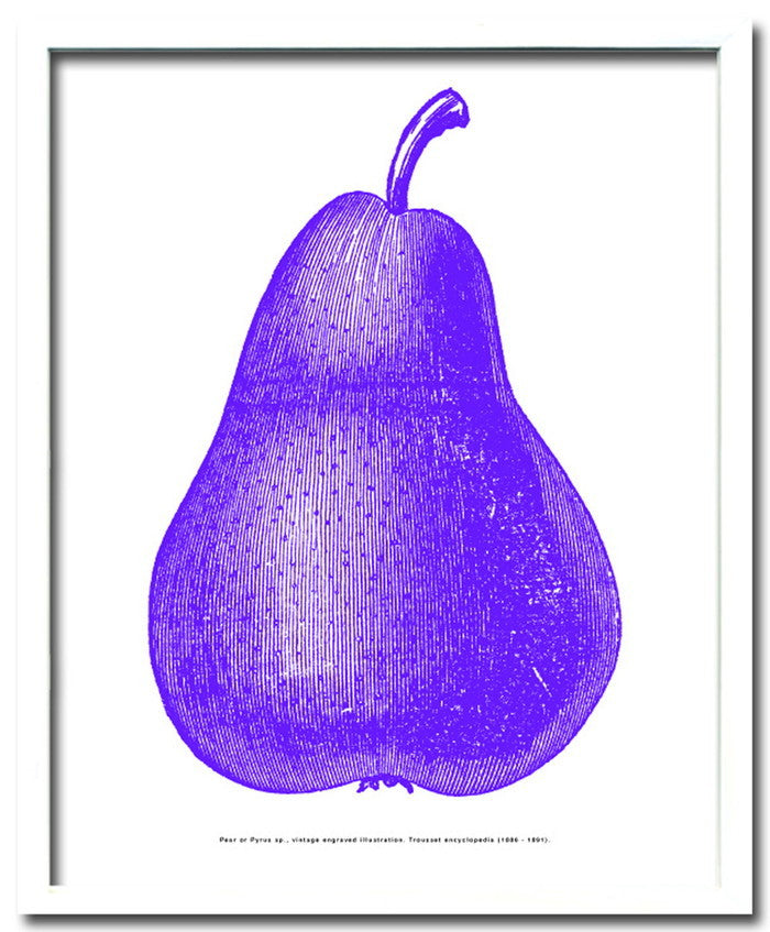 ペア 梨 パープル Pear purple 430x530x30 snw-ipf-52892の画像